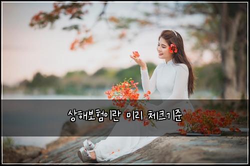 ์ํด๋ณดํ์ด๋ ๋ฏธ๋ฆฌ ์ฒดํฌ๊ธฐ์ค
