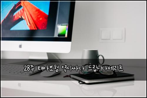 28μ£Ό νμ보ν μμμΈλ€ λ립λλ€λ©λ¦¬μΈ