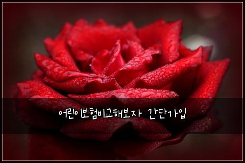 어린이보험비교해보자 간단가입