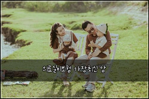 의료실비보험 가장최신  암