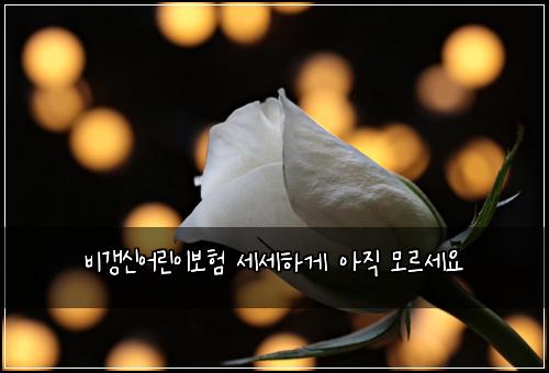 ๋น๊ฐฑ์ ์ด๋ฆฐ์ด๋ณดํ ์ธ์ธํ๊ฒ ์์ง ๋ชจ๋ฅด์ธ์