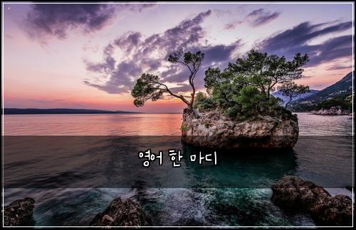 영어 한 마디