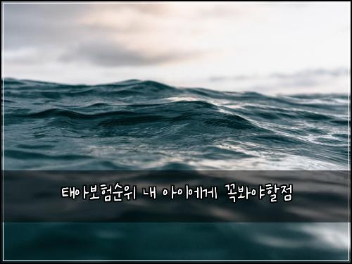 ํ์๋ณดํ์์ ๋ด ์์ด์๊ฒ ๊ผญ๋ด์ผํ ์ 