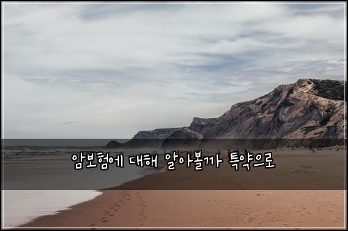 ์๋ณดํ์ ๋ํด ์์๋ณผ๊น ํน์ฝ์ผ๋ก