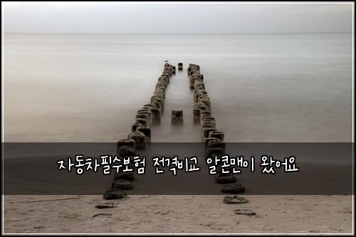 μλμ°¨νμ보ν μ 격λΉκ΅ μμ½λ§¨μ΄ μμ΄μ