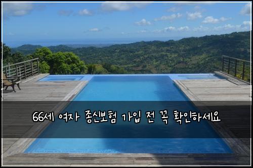 66세 여자 종신보험 가입 전 꼭 확인하세요
