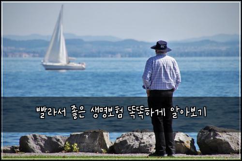 빨라서 좋은 생명보험 똑똑하게 알아보기