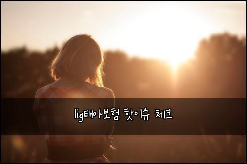 lig태아보험 핫이슈  체크