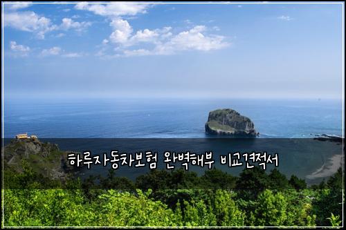 ํ๋ฃจ์๋์ฐจ๋ณดํ ์๋ฒฝํด๋ถ ๋น๊ต๊ฒฌ์ ์