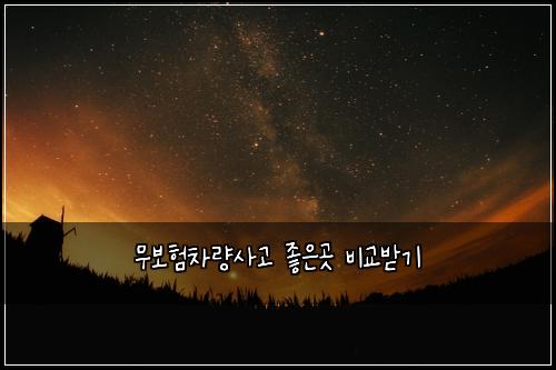 ๋ฌด๋ณดํ์ฐจ๋์ฌ๊ณ ์ข์๊ณณ ๋น๊ต๋ฐ๊ธฐ