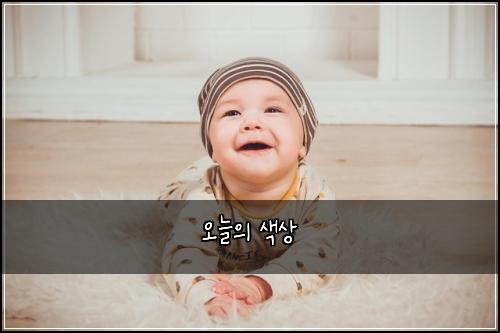 오늘의 색상