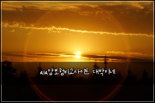 aia์๋ณดํ๋น๊ต์ฌ์ดํธ ๋๋ฐ์ด๋ค