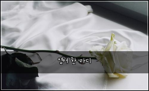 영어 한 마디