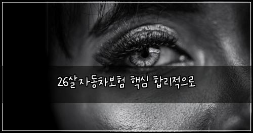 26살자동차보험 핵심  합리적으로