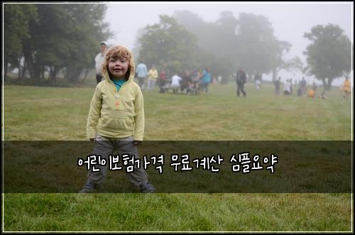 어린이보험가격 무료계산 심플요약