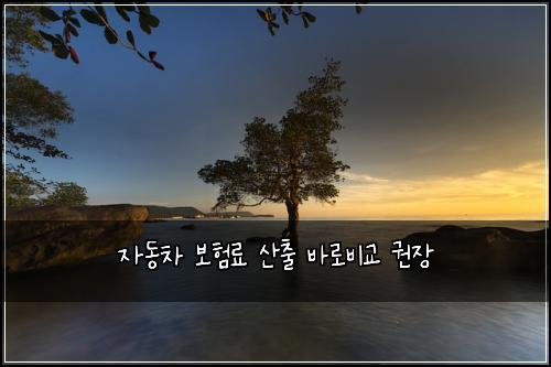 자동차 보험료 산출 바로비교 권장