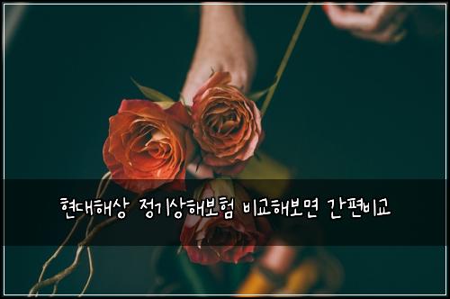 ํ๋ํด์ ์ ๊ธฐ์ํด๋ณดํ ๋น๊ตํด๋ณด๋ฉด ๊ฐํธ๋น๊ต