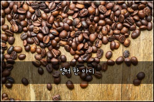 영어 한 마디