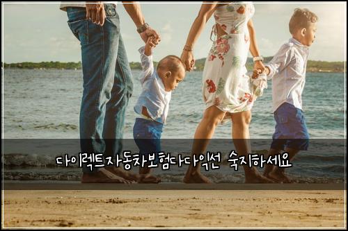 ๋ค์ด๋ ํธ์๋์ฐจ๋ณดํ๋ค๋ค์ต์ ์์งํ์ธ์
