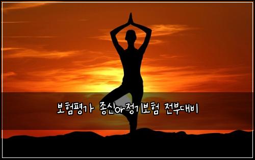 보험평가 종신or정기보험 전부대비