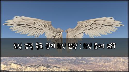 토익 성적 목표 관리 토익 전략 : 토익 문제 #87