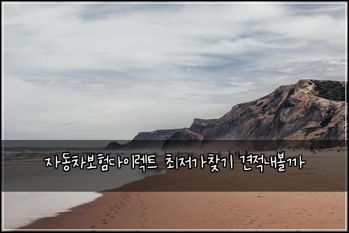 자동차보험다이렉트 최저가찾기 견적내볼까