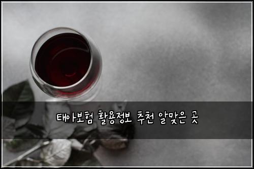 ํ์๋ณดํ ํ์ฉ์ ๋ณด ์ถ์ฒ ์๋ง์ ๊ณณ