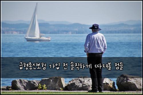 급형종신보험 가입 전 솔직하게 따져볼 점들