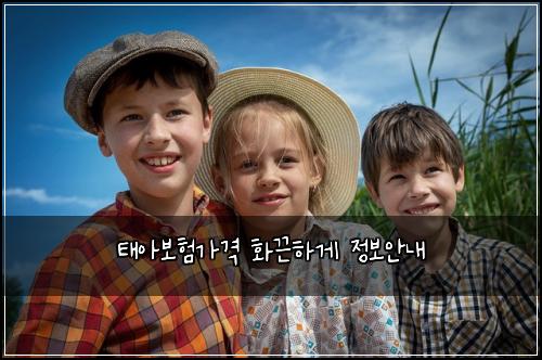 태아보험가격 화끈하게 정보안내