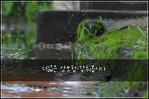 ๋๋์ ์๋ณดํ ๊ฐ์ถฐ๋ด
์๋ค