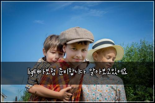 ligํ์๋ณดํ ์ค๋นํฉ๋๋ค ์์๋ณด๊ณ ์์ด์
