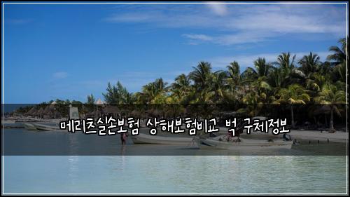 메리츠실손보험 상해보험비교 벅 구체정보