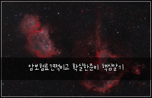 ์๋ณดํ๋ฃ๊ฒฌ์ ๋น๊ต ํ์คํ์ค๋น ํต์ฌ์๊ธฐ