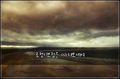 로정기보험은 따져보세여