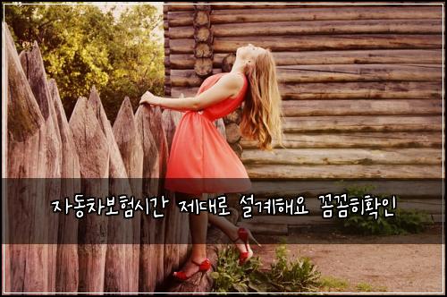์๋์ฐจ๋ณดํ์๊ฐ ์ ๋๋ก ์ค๊ณํด์ ๊ผผ๊ผผํํ์ธ
