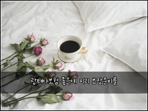 랑태아보험 좋은예  미리 보장준비를
