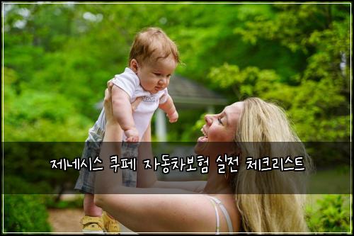 제네시스 쿠페 자동차보험 실전 체크리스트