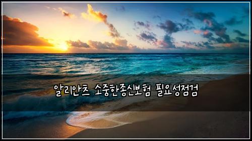 μ리μμΈ μμ€νμ’
μ 보ν νμμ±μ κ²