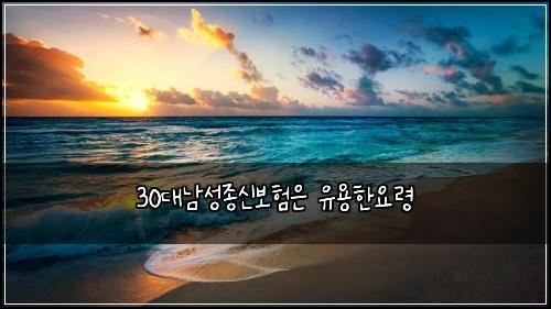 30๋๋จ์ฑ์ข
์ ๋ณดํ์ ์ ์ฉํ์๋ น