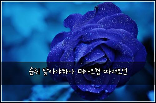 ์์ ์์์ผํ๋ ํ์๋ณดํ ๋ฐ์ ธ๋ณด๋ฉด