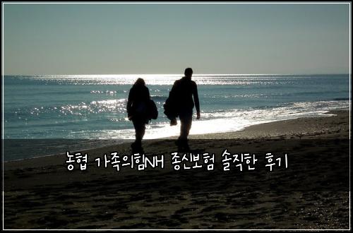 농협 가족의힘NH 종신보험 솔직한 후기