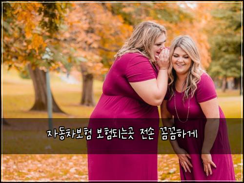자동차보험 보험되는곳  전손 꼼꼼하게