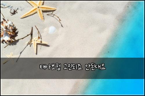 태아보험 고민되죠  안된대요