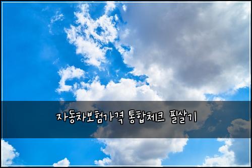 ์๋์ฐจ๋ณดํ๊ฐ๊ฒฉ ํตํฉ์ฒดํฌ ํ์ด๊ธฐ