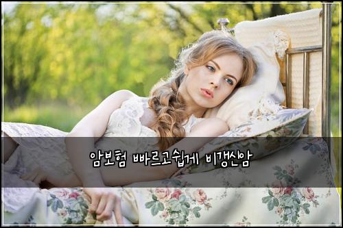 ์๋ณดํ ๋น ๋ฅด๊ณ ์ฝ๊ฒ ๋น๊ฐฑ์ ์