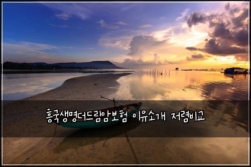 흥국생명더드림암보험 이유소개  저렴비교
