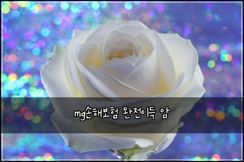 mg์ํด๋ณดํ ์์ ์ด๋ ์
