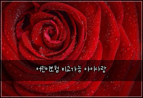 어린이보험 비교가능  아이사랑
