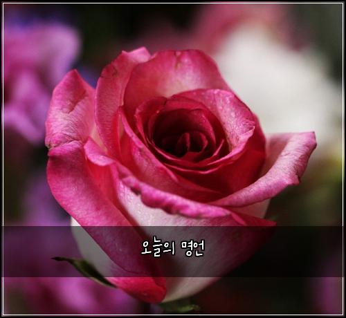 ์ค๋์ ๋ช
์ธ