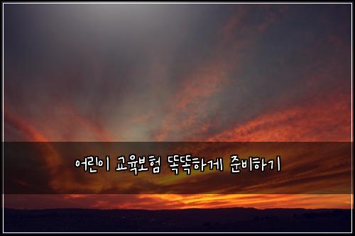 어린이 교육보험 똑똑하게 준비하기